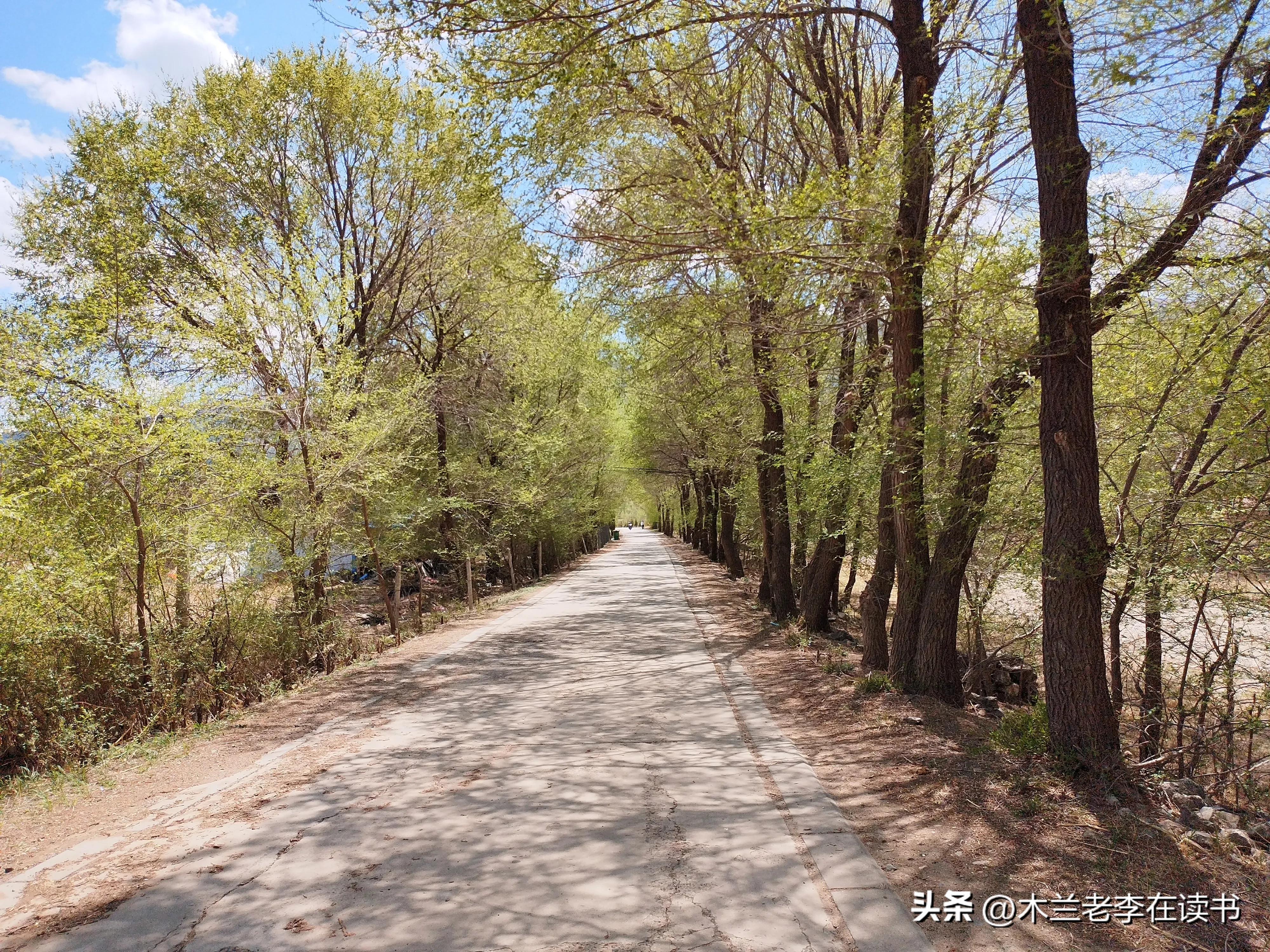 品味苏轼心境,品读苏轼的诗词