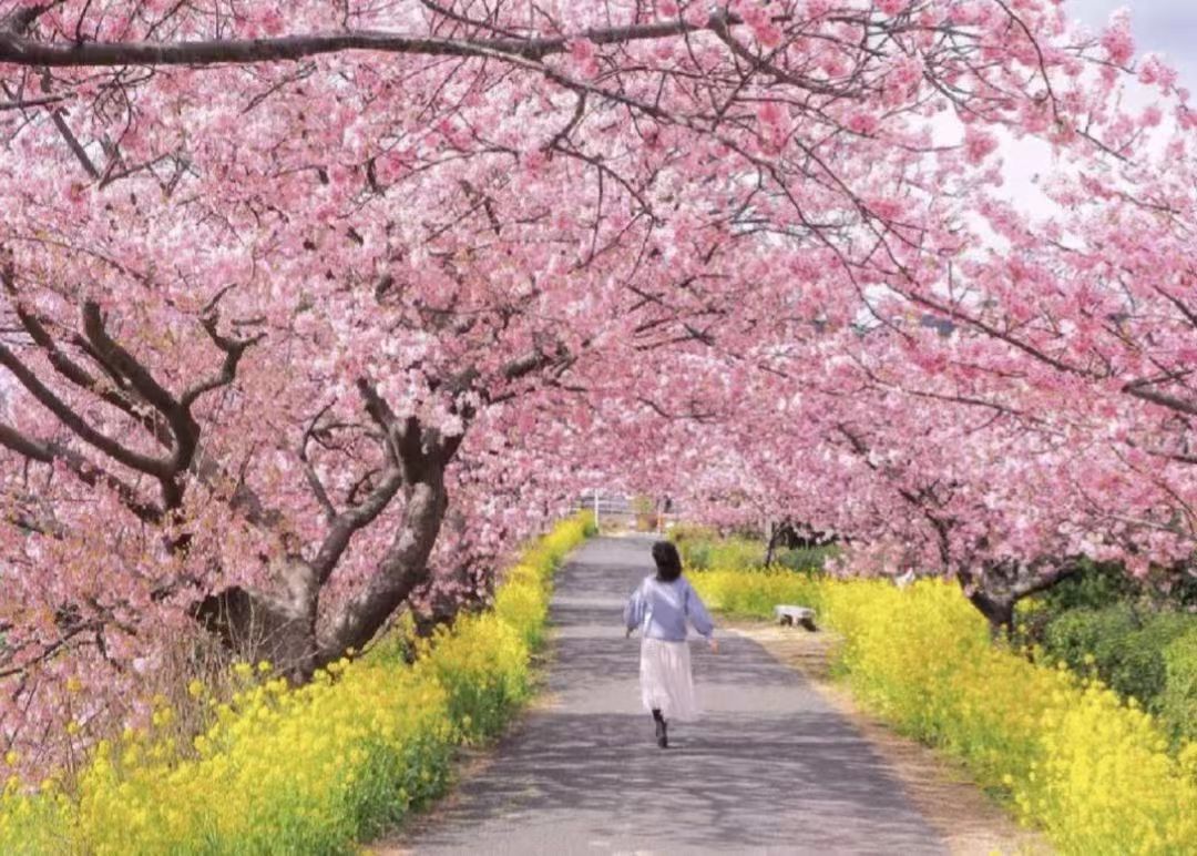 日本东京哪个房子值得投资,100万在大阪可以买什么样的房子