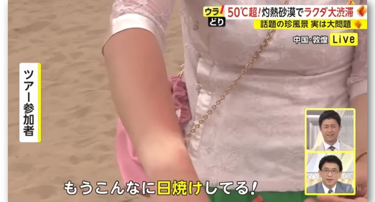 日本记者敦煌堵骆驼,日本记者直播连线冰墩墩