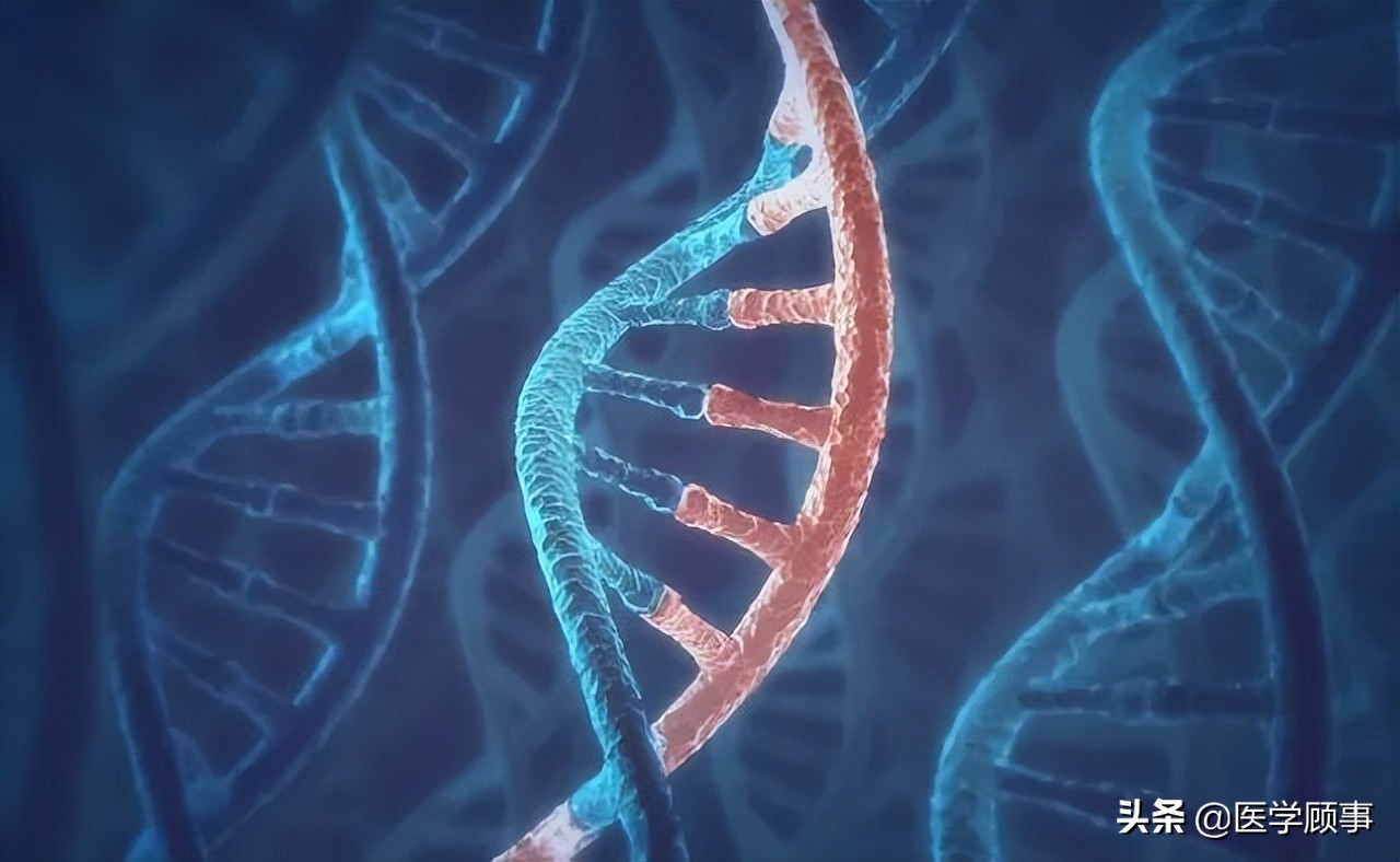 细胞生成器,细胞治疗基因编辑