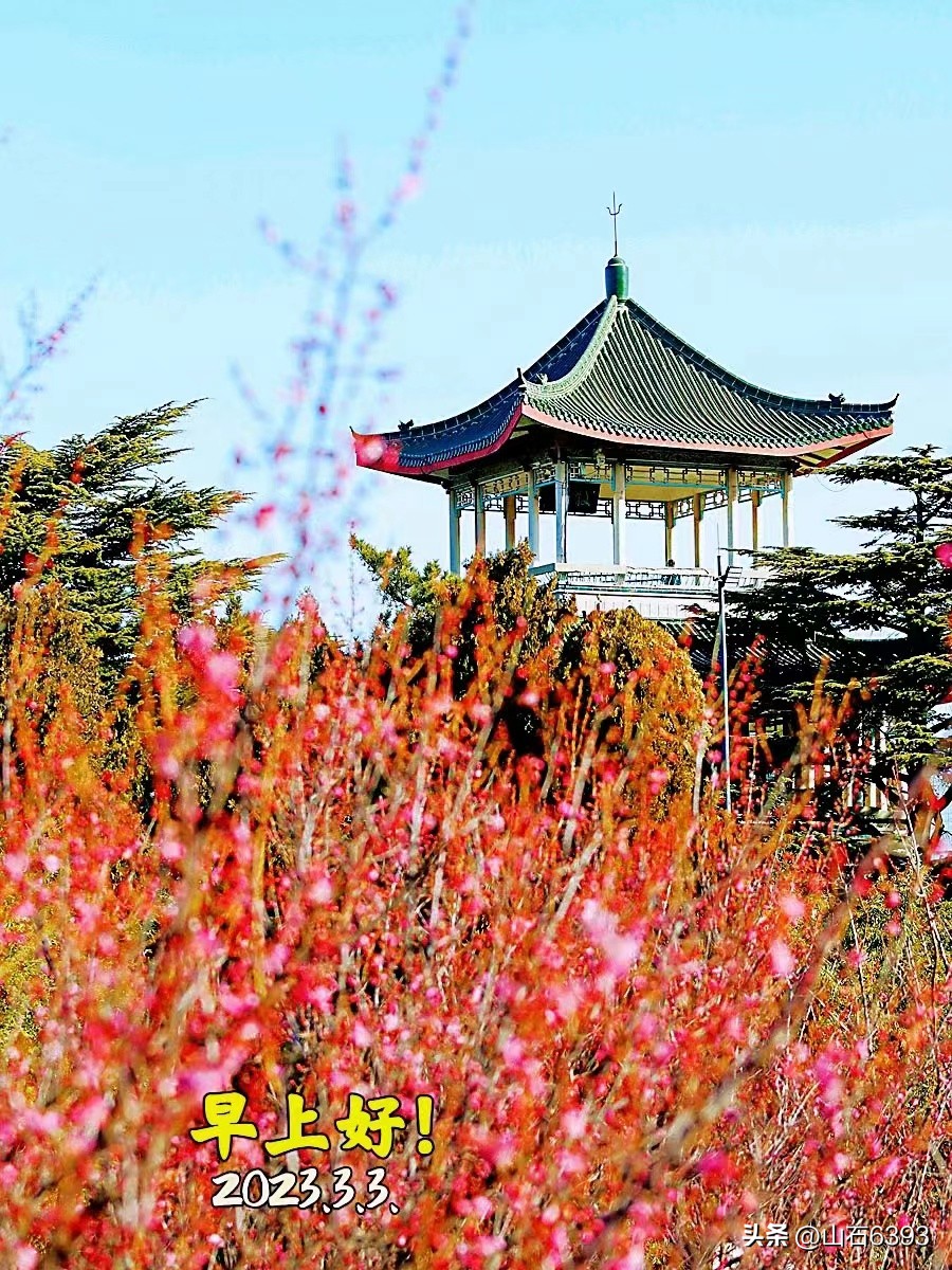 【战友美文】郭福成（天王福哥）：《*梦春**》（诗）