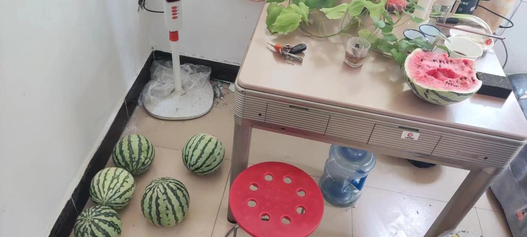 百日突击行动,百日行动