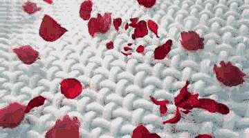 衣服洗干净教你一招,衣服洗完沾满毛絮怎么办