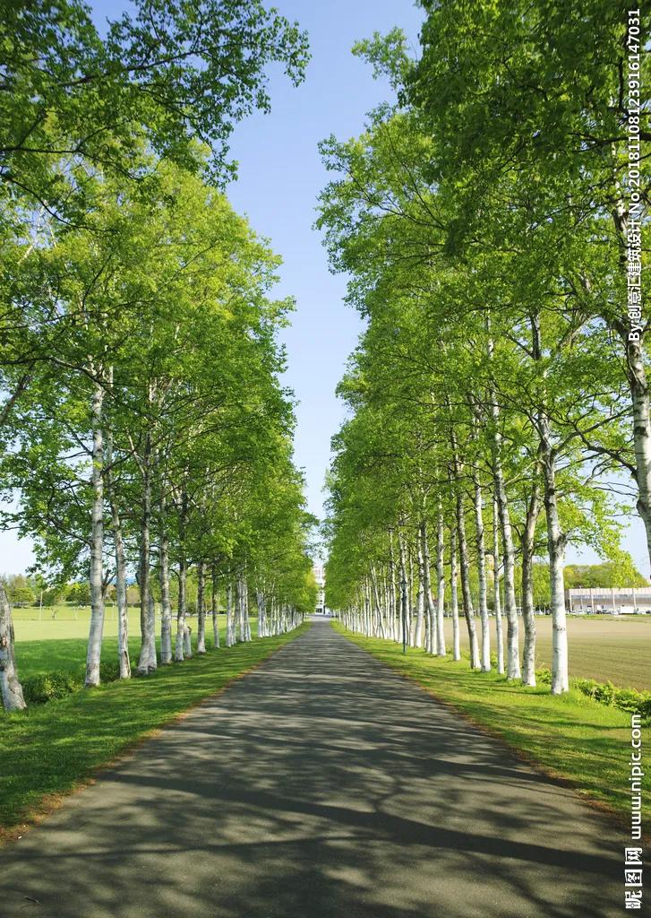 乡村家乡的散文,乡情的散文诗朗诵