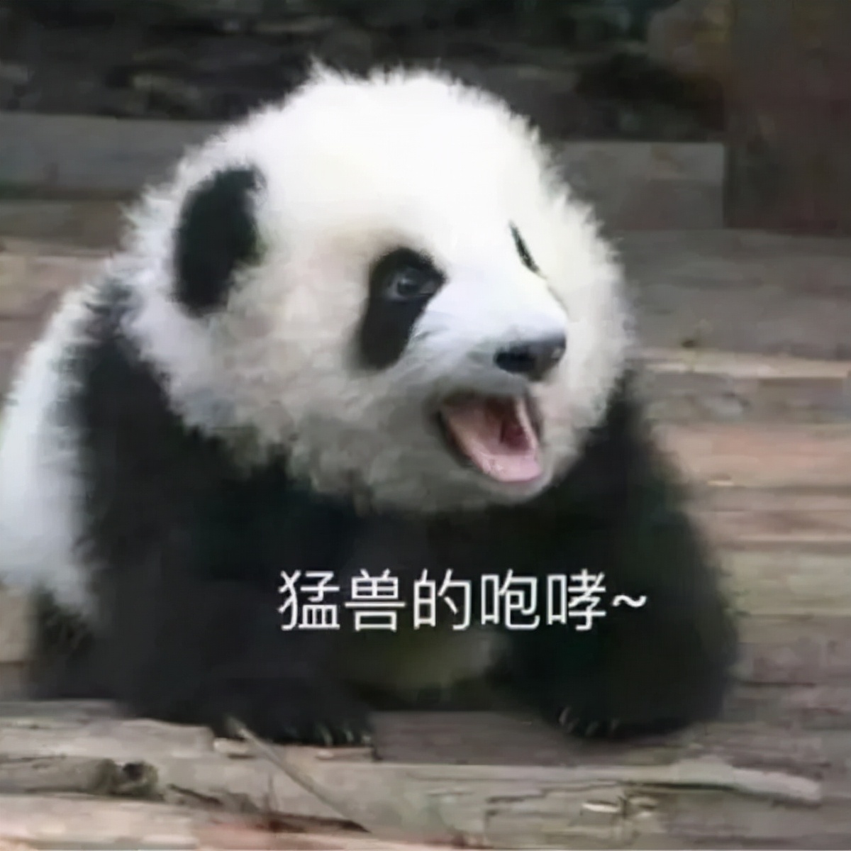 回到家乡幽默搞笑的朋友圈说说,幽默搞笑短片搞笑段子