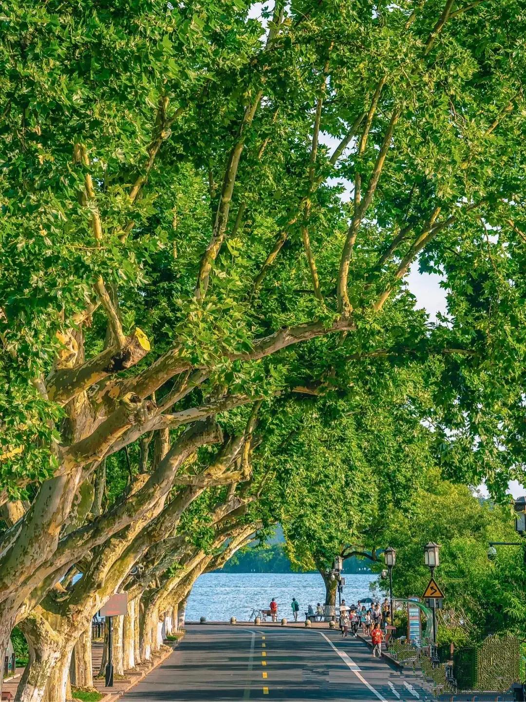 杭州西湖十景游玩攻略简介,杭州西湖十景全景图
