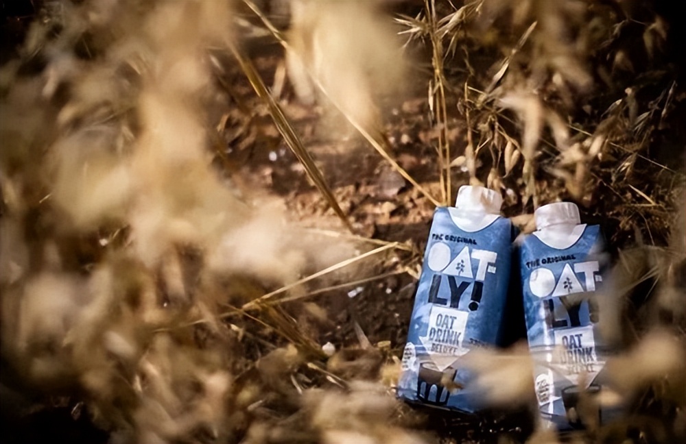 燕麦奶和全脂奶的区别,燕麦奶为什么火了