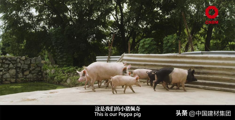 中材国际几内亚项目,中材国际巴拿马项目