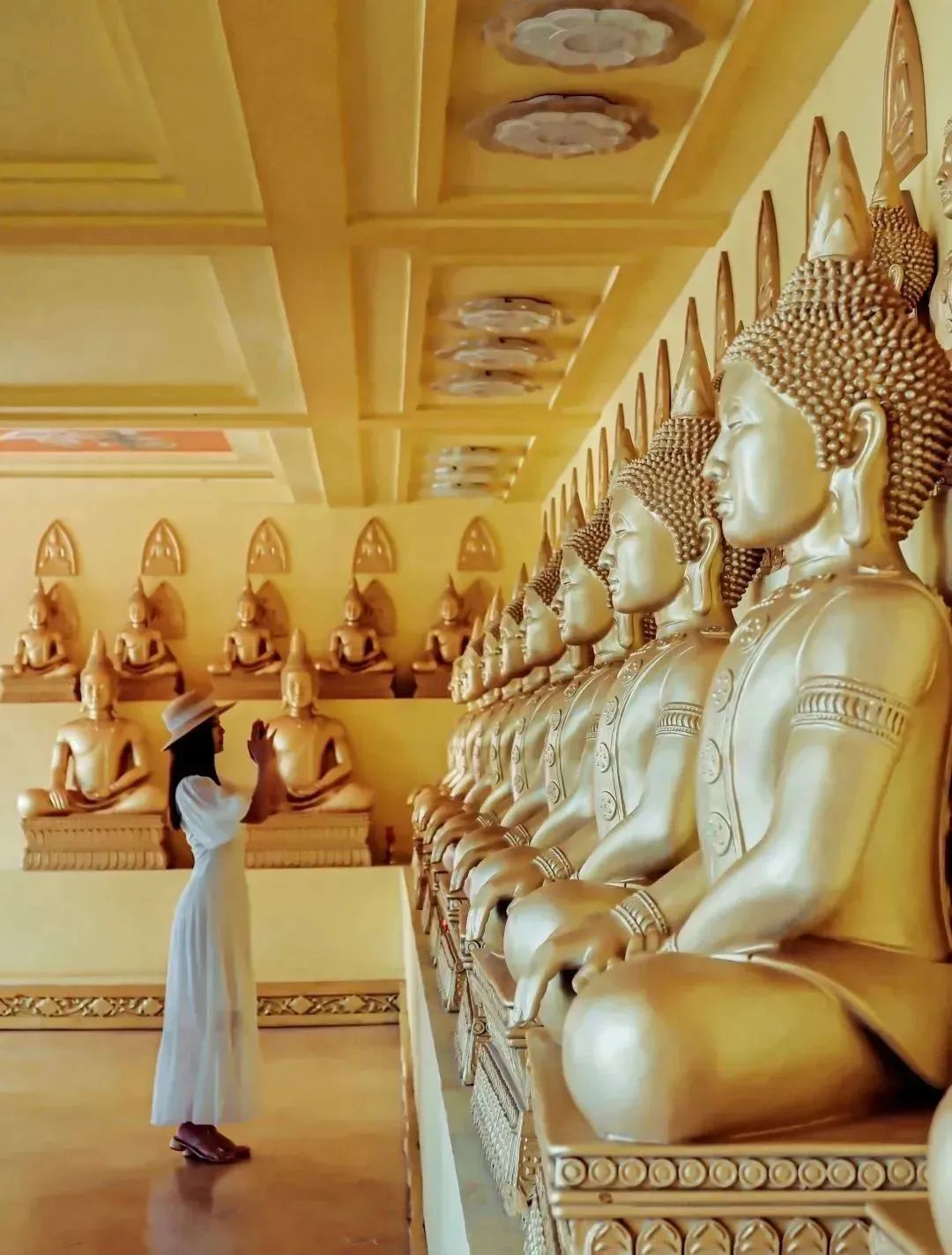 榴莲爱好者去果园,榴莲爱好者来打卡