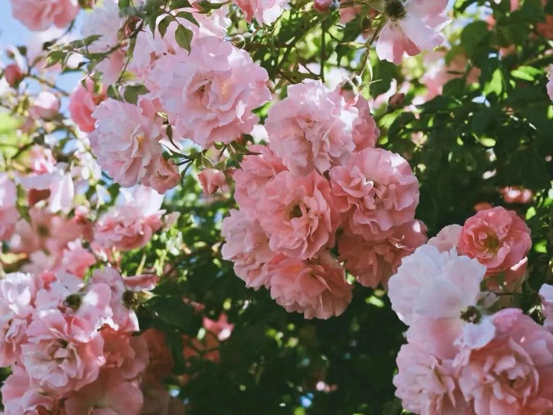 在成长的道路上遇见自己