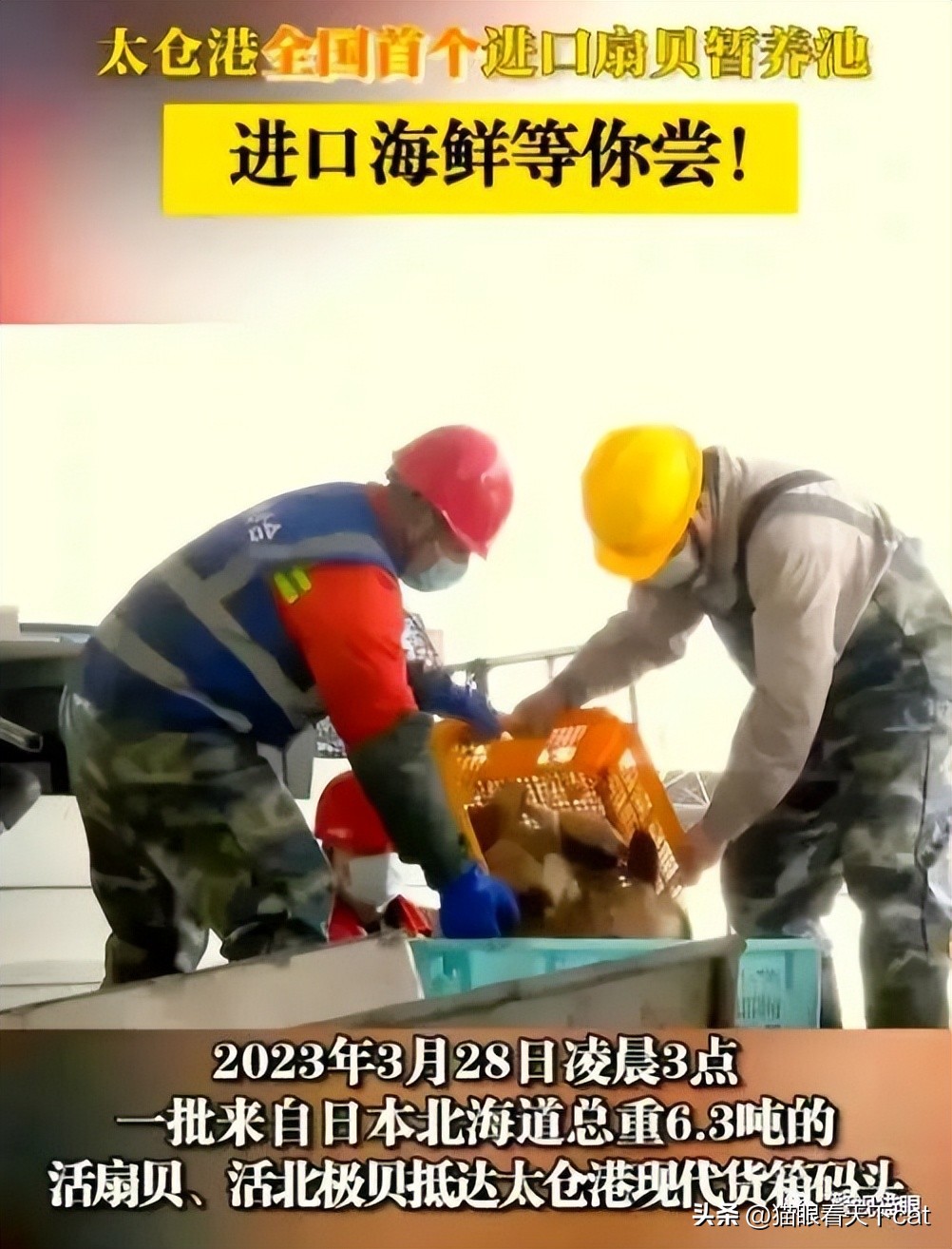 日本海鲜禁止进口范围,日本的海鲜被禁令了吗