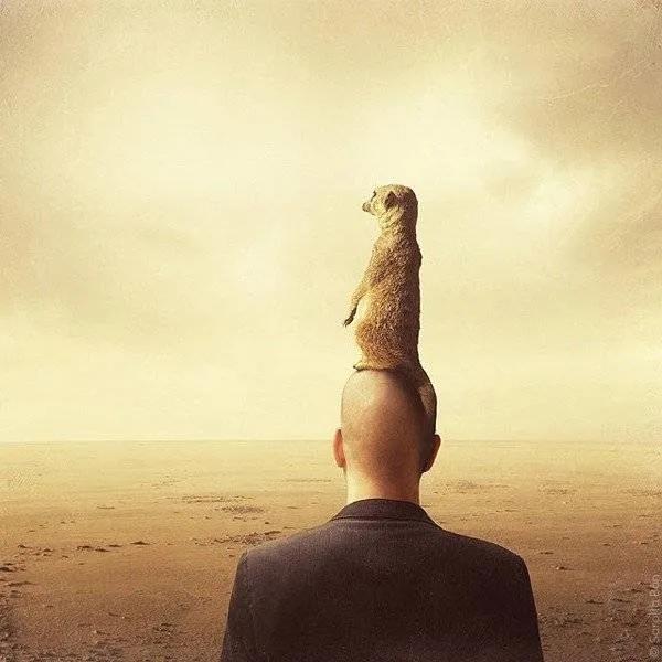 大唢呐小唢呐,唢呐抒情歌曲