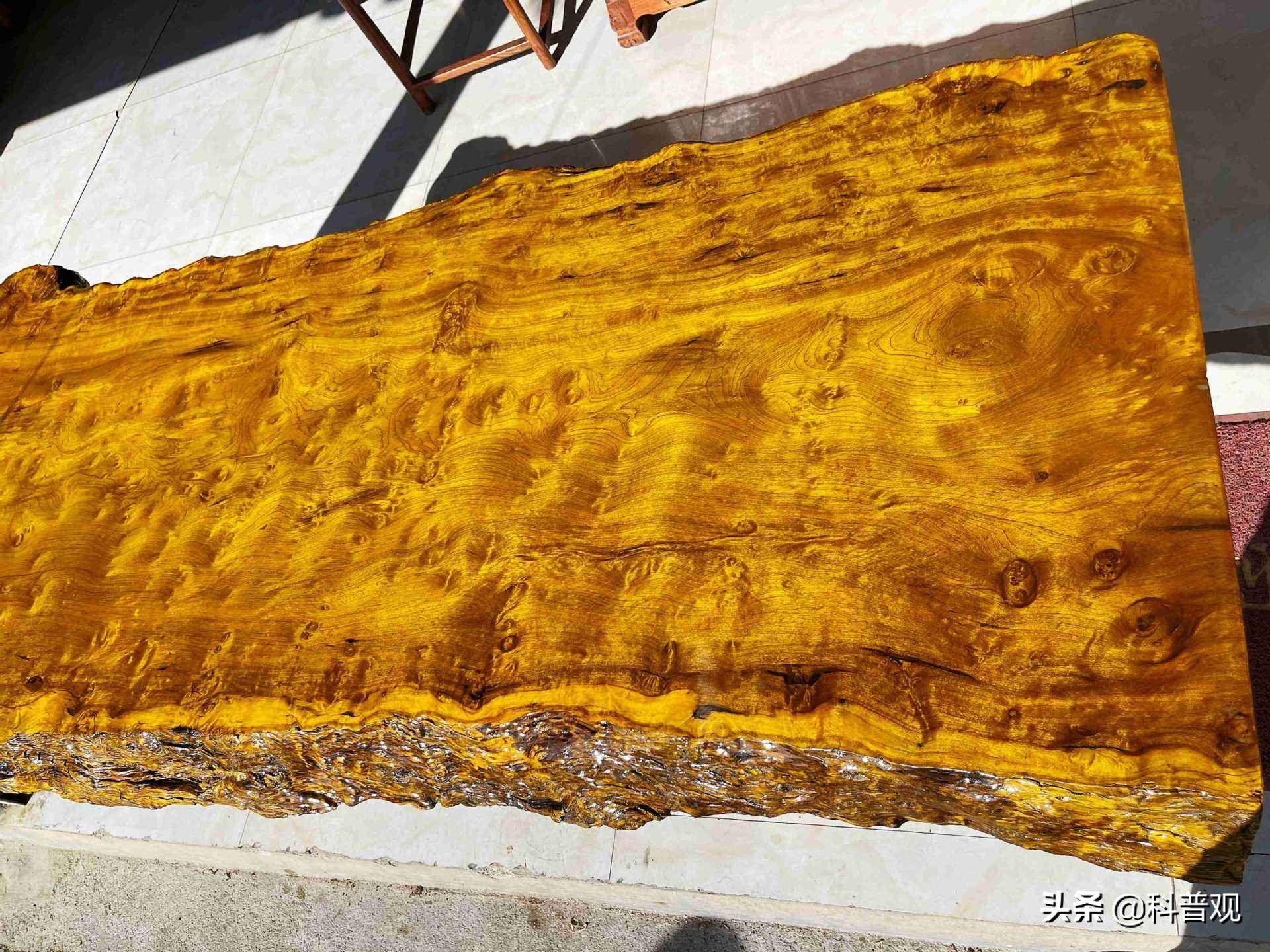 一棵金丝楠木价值多少,一棵金丝楠树可以卖多少钱