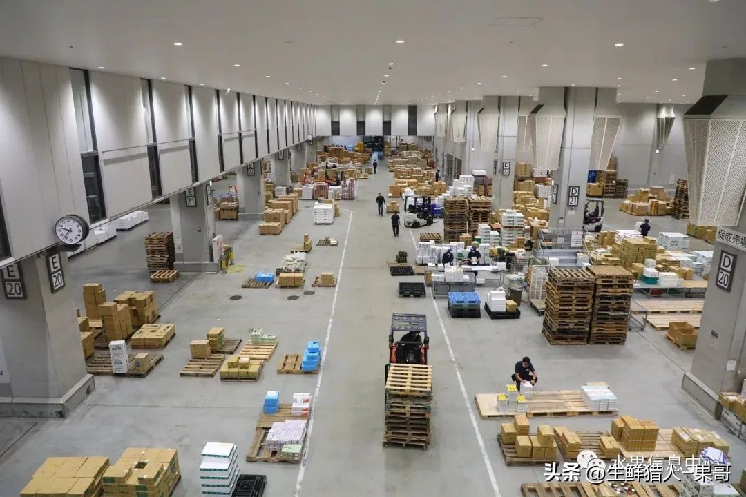 中国十大果蔬批发市场,全国十大蔬果批发市场