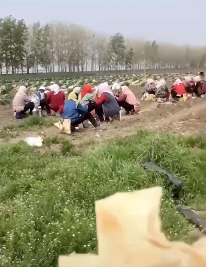 上海新增本土死亡病例3例,上海新增本土死亡39例