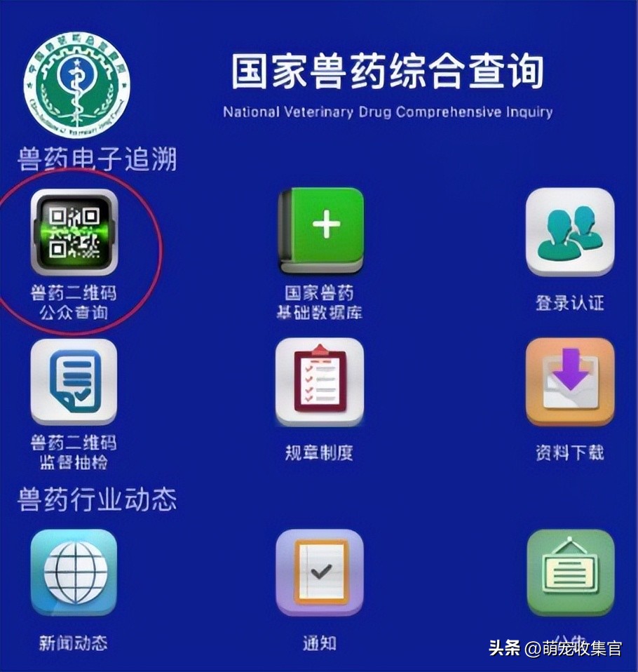 驱虫药大宠爱海乐妙怎么吃,常见猫咪驱虫药有哪些