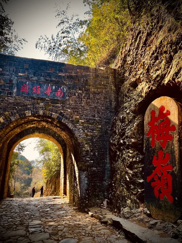 letsgo一周目图文攻略,letsgo图鉴攻略