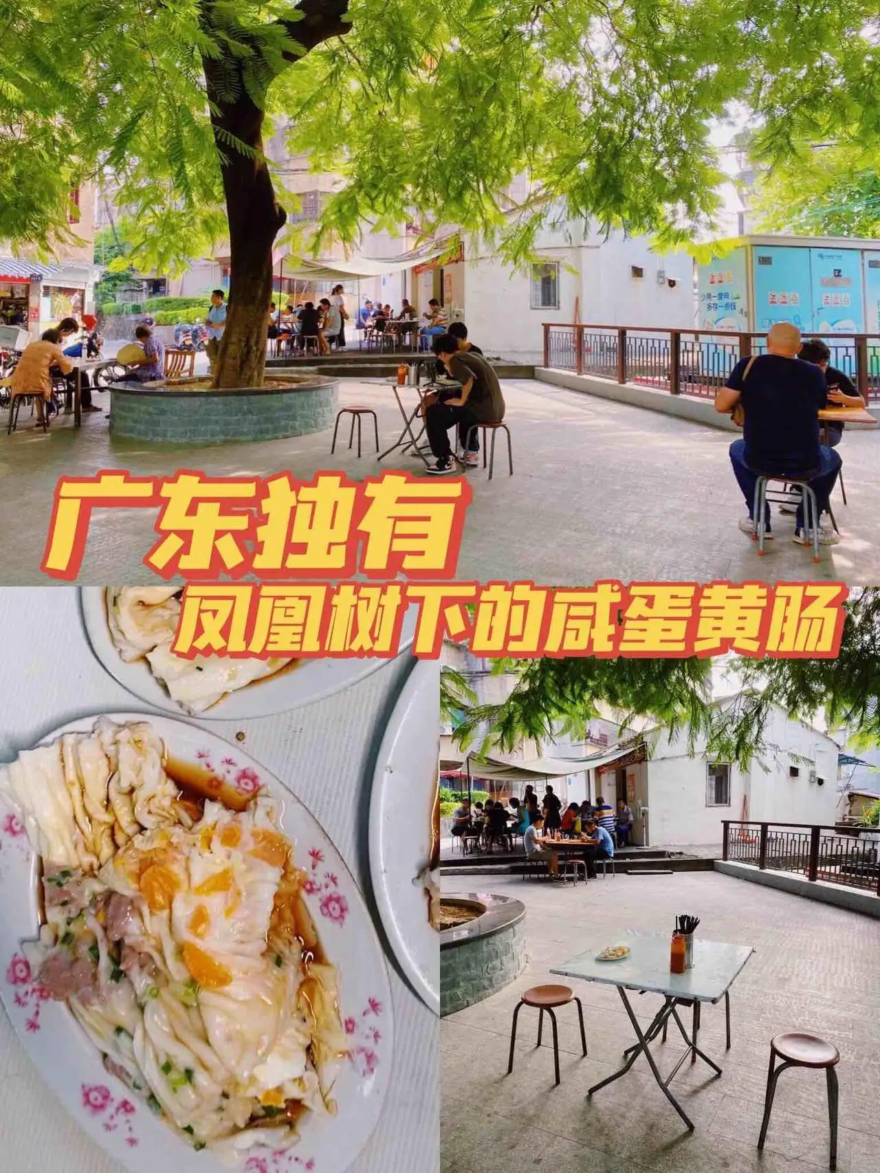 大运狂飙,兔年行大运好运常相伴