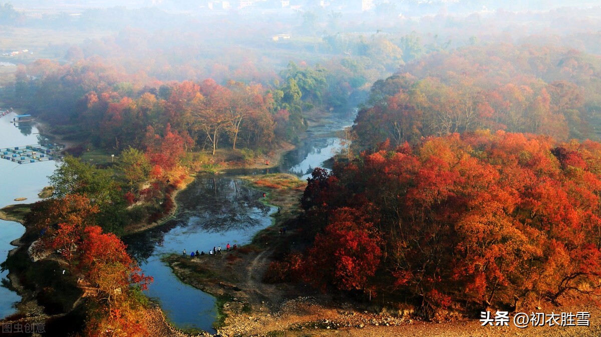 秋天乌桕诗句,秋天乌桕的诗句
