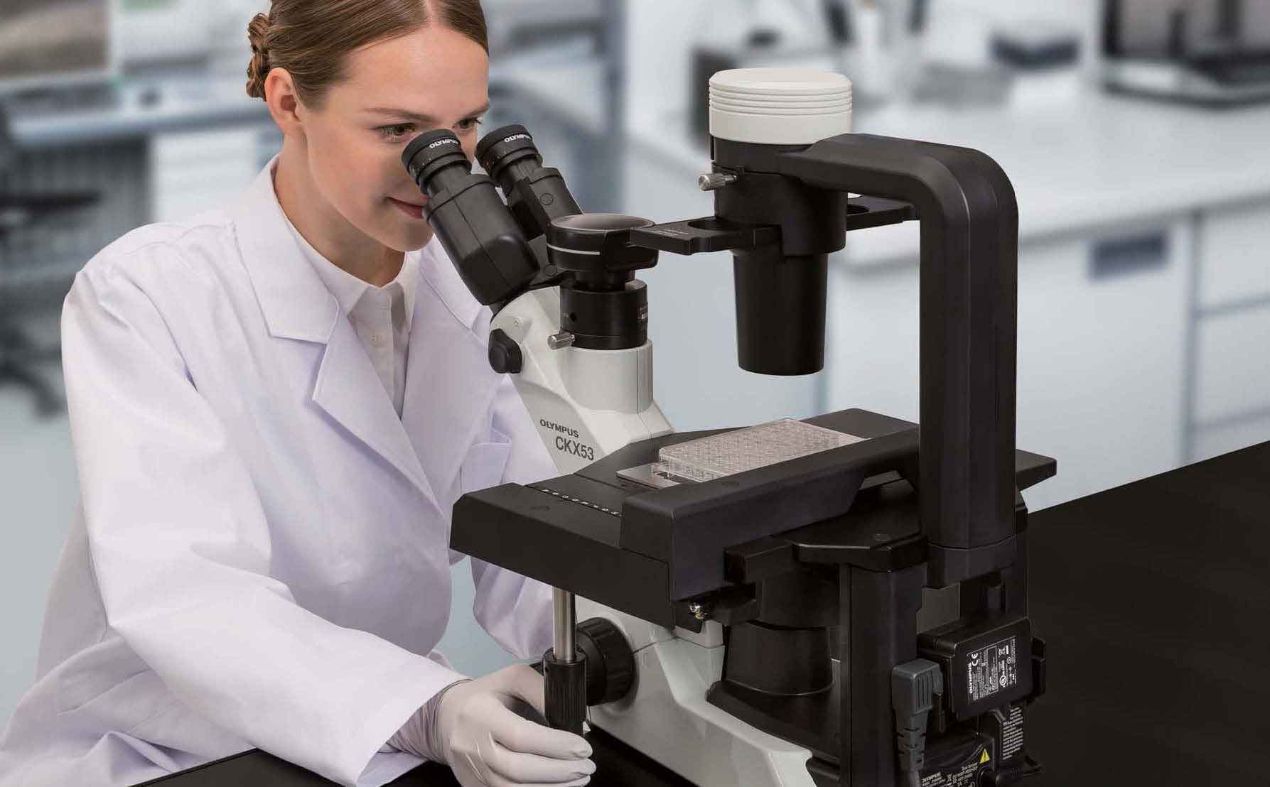 卵子也会偏爱一个男人吗,人类卵子对某些精子情有独钟