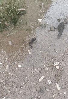 女朋友发来照片说刚运动完什么梗,女朋友发照片说刚运动完