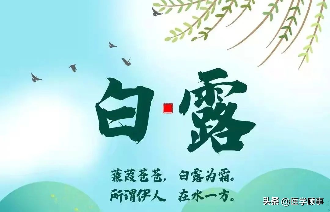 蒹葭苍苍白露为霜是写白露的吗,蒹葭苍苍白露为霜的白露是节气么