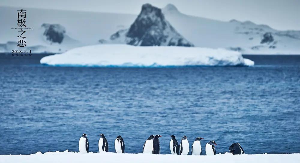 十大情侣必看国产喜剧电影,喜剧国产电影推荐大片9.0以上评分