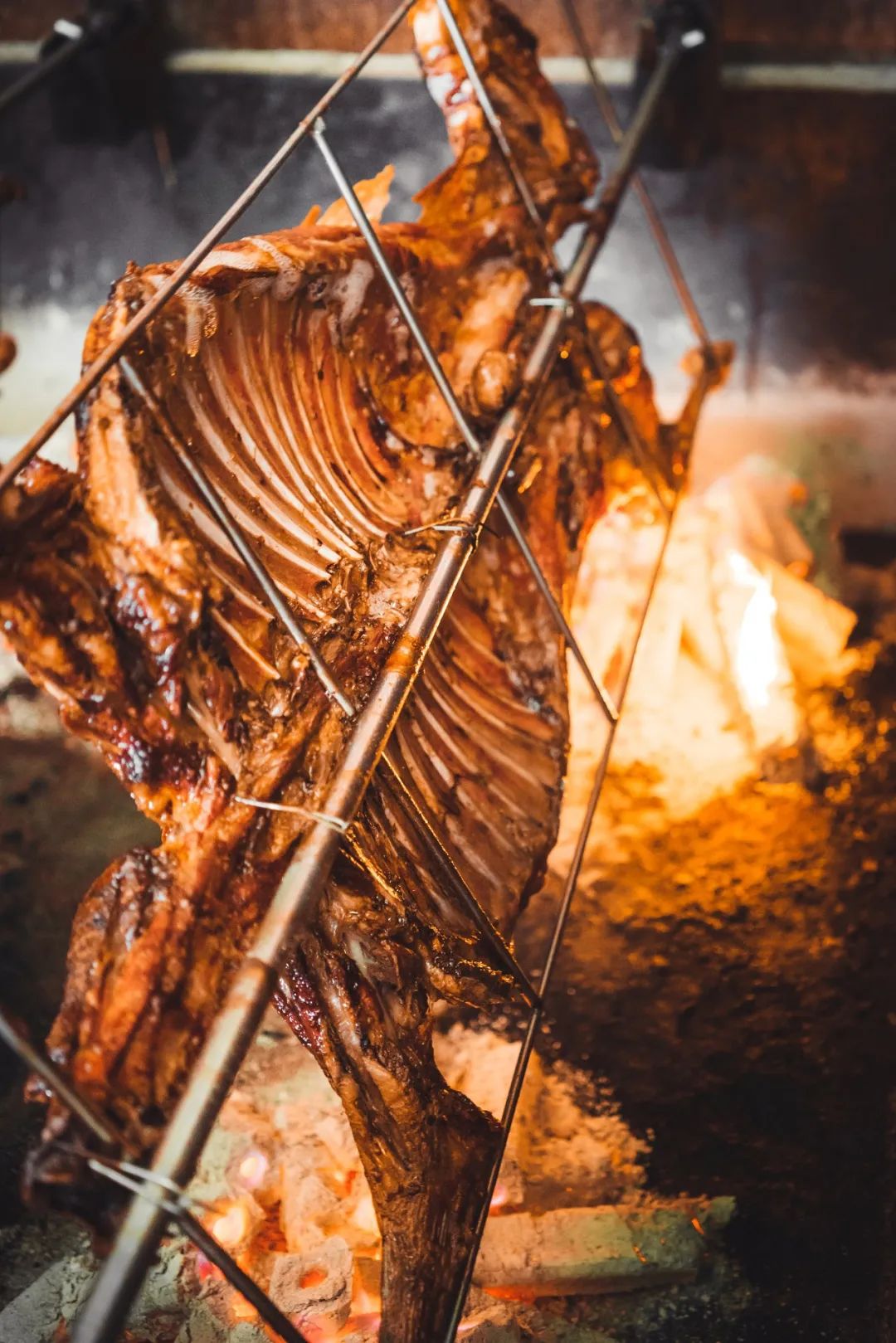 甘肃金昌的羊肉和盐池滩羊,盐池滩羊和横山羊肉