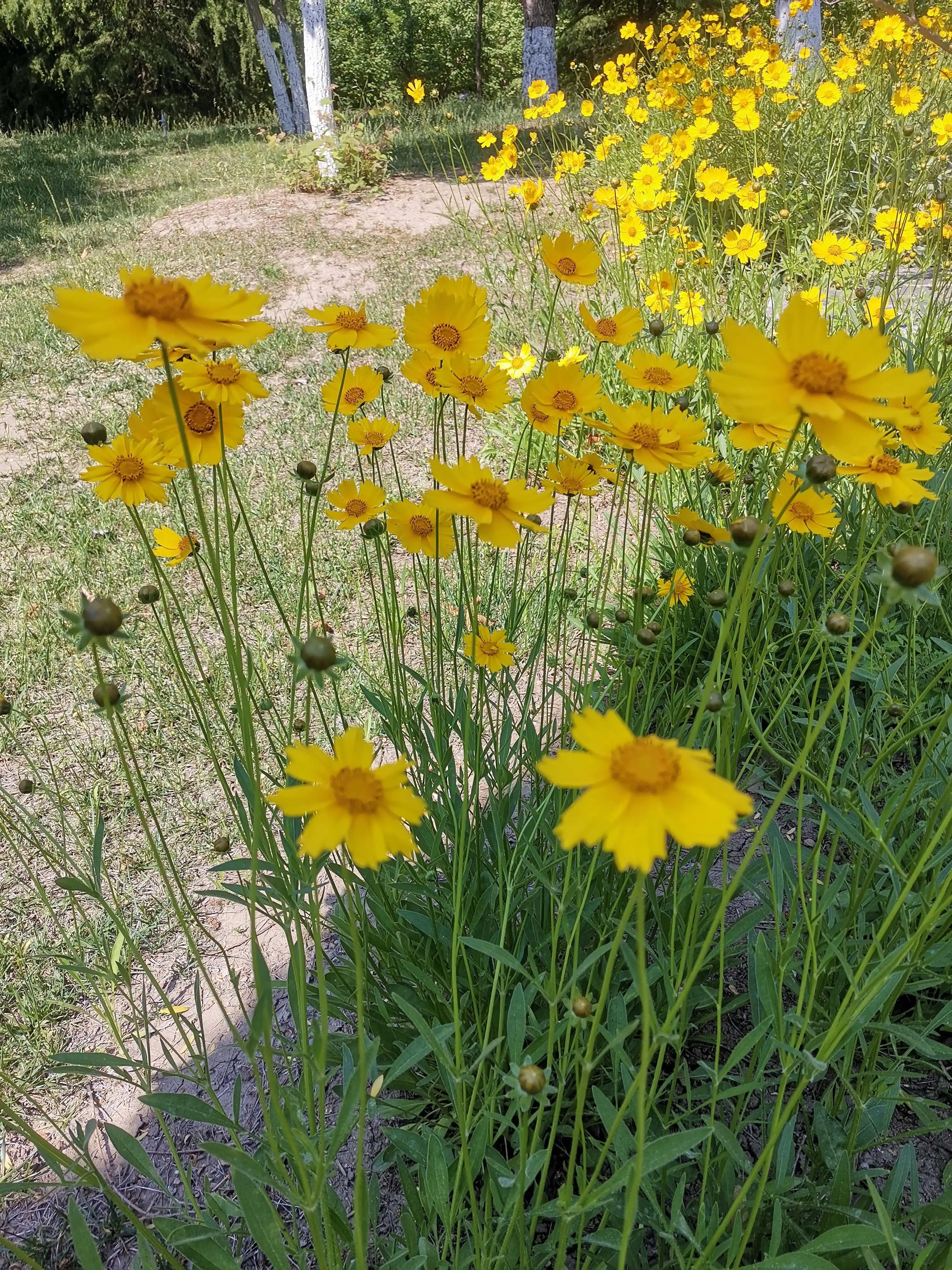 指缝太宽怎么补救,时光太瘦指缝太宽