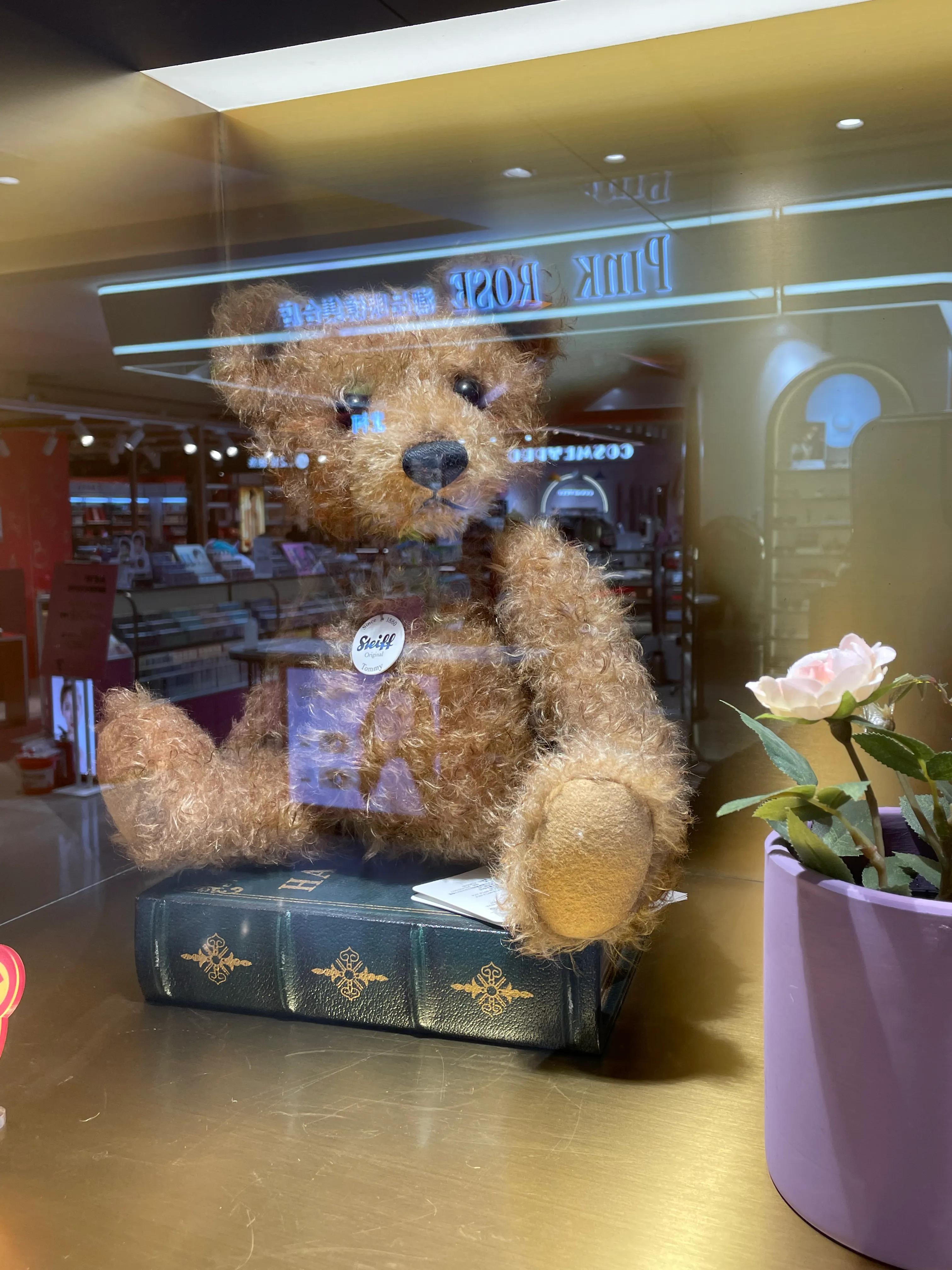 泰迪熊的由来简短,泰迪熊的由来