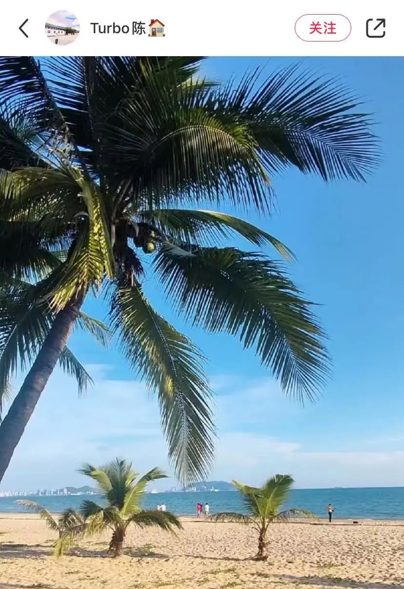 城市里最适合养老的房子,适合养老的花园惬意洋房