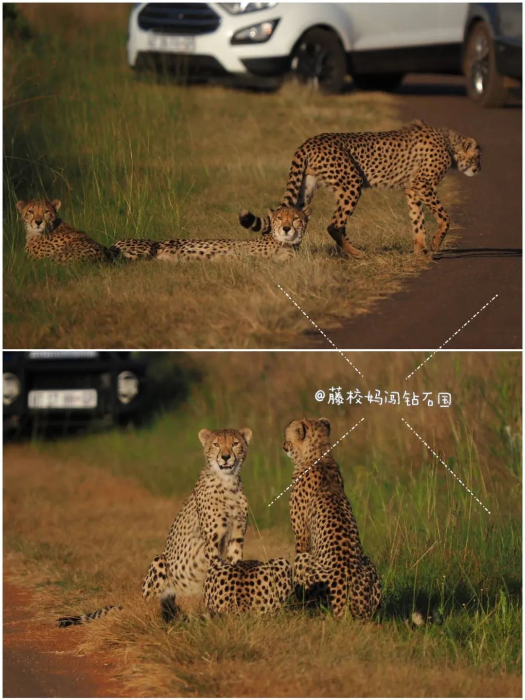 护眼菜常吃保护眼睛,护眼的蔬菜与食物