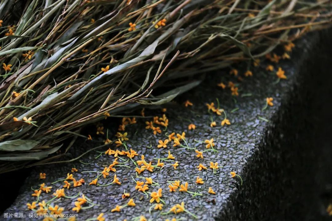 广西壮族自治区地理知识点整理,广西壮族自治区地理特征