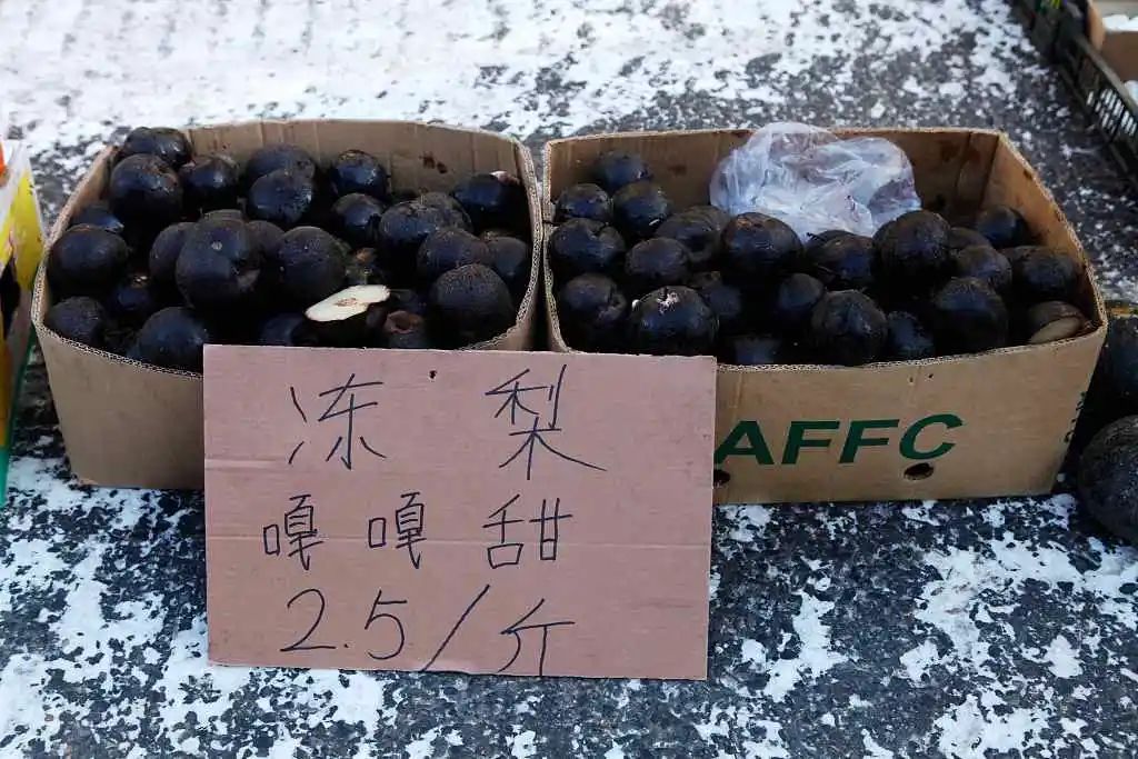 东北偏僻山村真实生活,东北冷不冷的真实生活