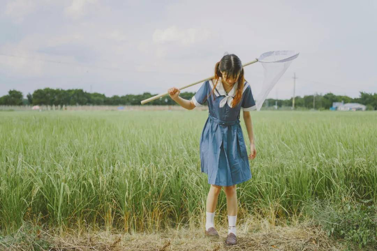 蜻蜓为什么能活过四次大灭绝,为什么现在很少见成群的蜻蜓