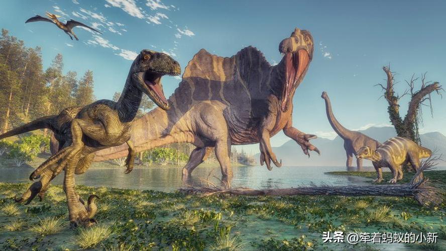 恐龙的分类以及特征,科普恐龙的种类和特点