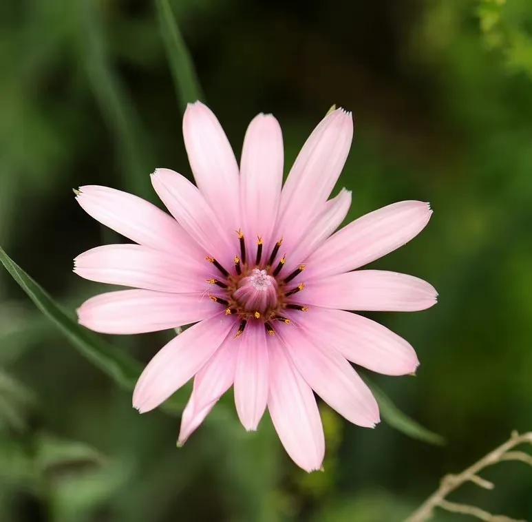 给你全部的温情与热爱,想给你全部的温情和热爱