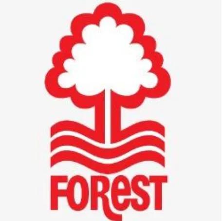 英超历史最差球队,英超豪门历史排行