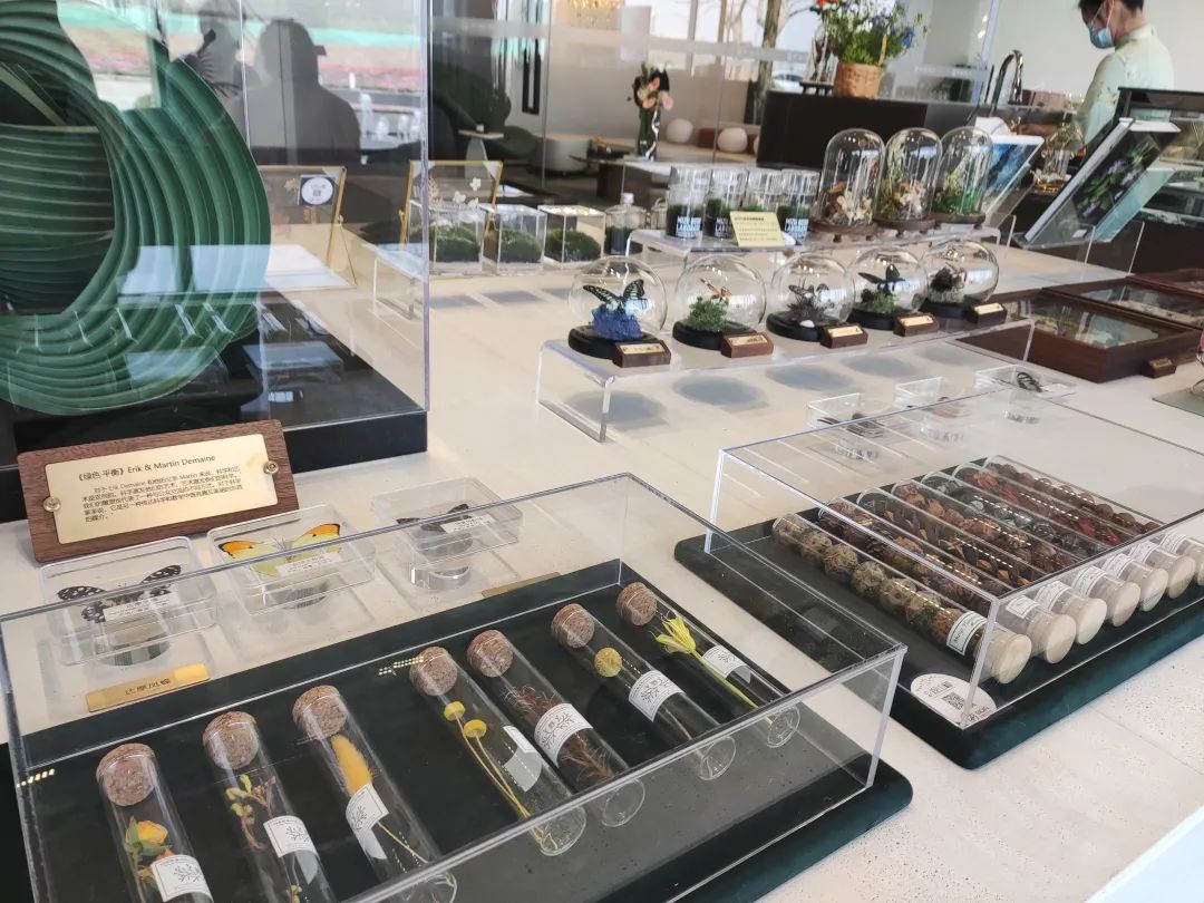 龙湖116洋房四叶草户型,南京龙湖四叶草户型