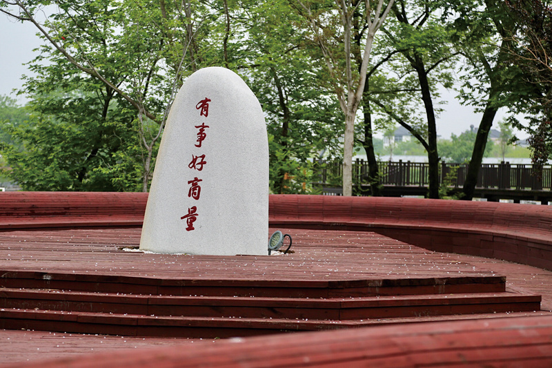 衢州莲花乡村未来国际社区,衢州莲花现代农业园