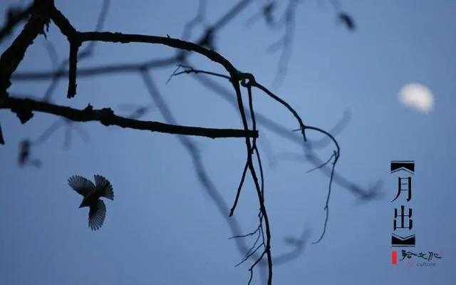 陈风月诗经原文,诗经陈风月出全文注音