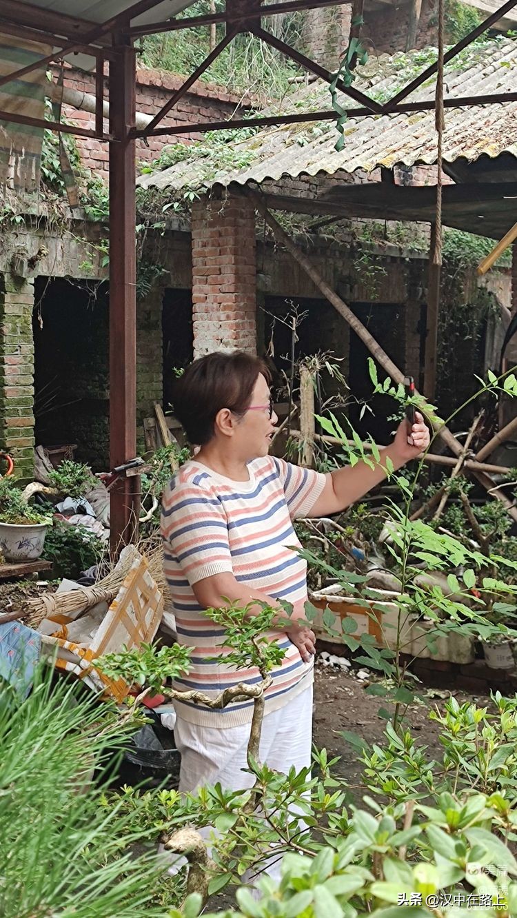 南峰心声,南峰情头