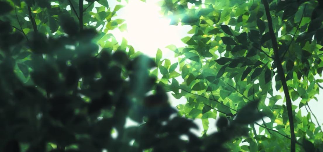 在家也能有收入,7个宅在家也能赚钱的靠谱副业