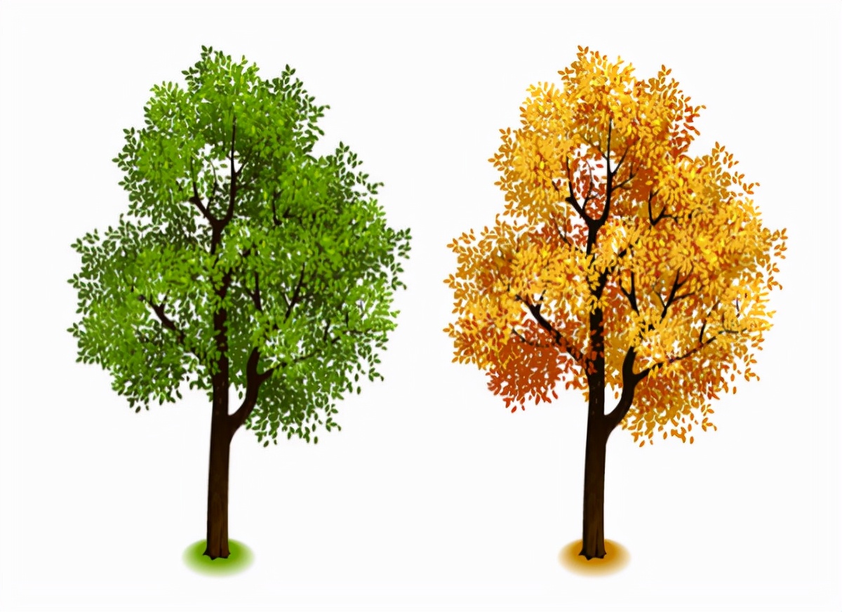 椹崥澹涓尰,椹崥澹殑娣卞害璁茶В