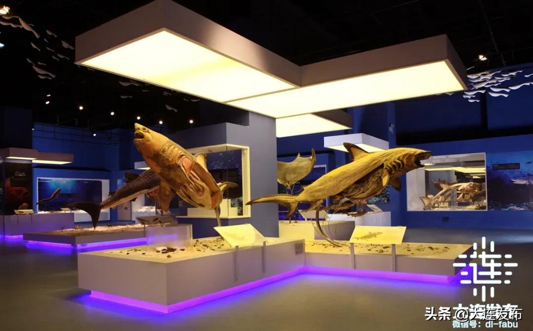 寒假不睡懒觉,寒假不补课就在家玩