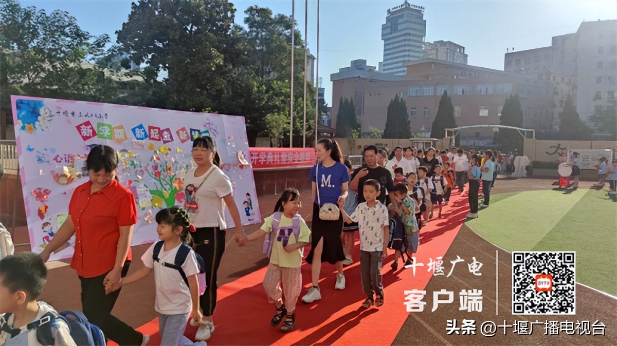 你好萌新是什么意思,你好萌新