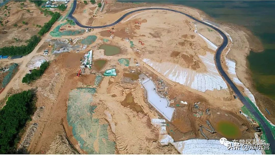 东营泮水公园火爆,东营泮水公园有植物吗