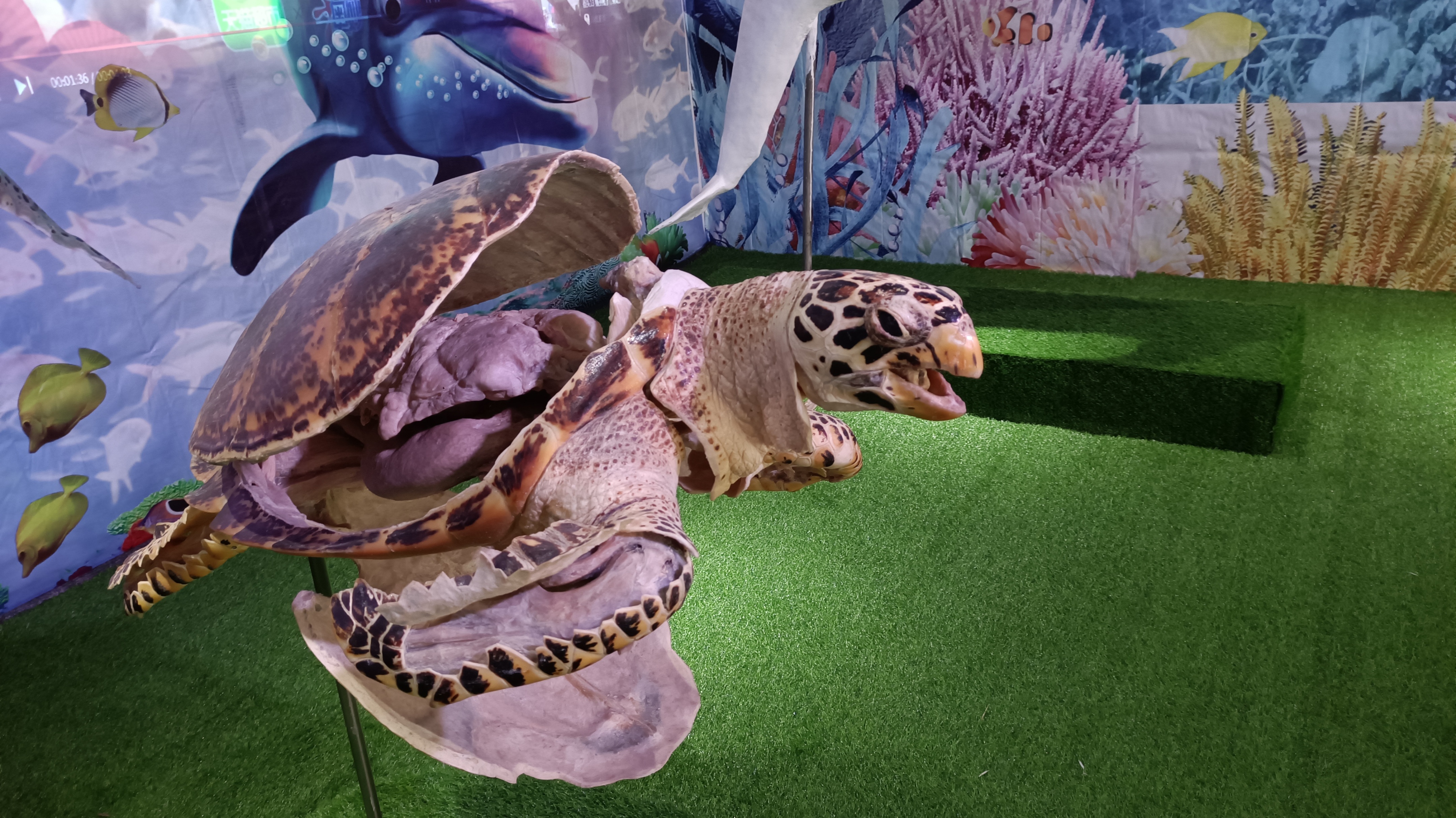 郑州周边游玩夏季景点攻略,郑州周边避暑旅游景点推荐