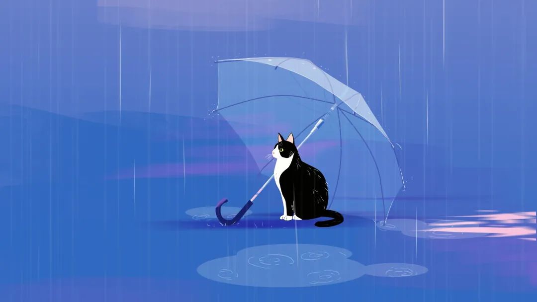 张兰拥有一颗强大的心,张兰我的九条命在线阅读