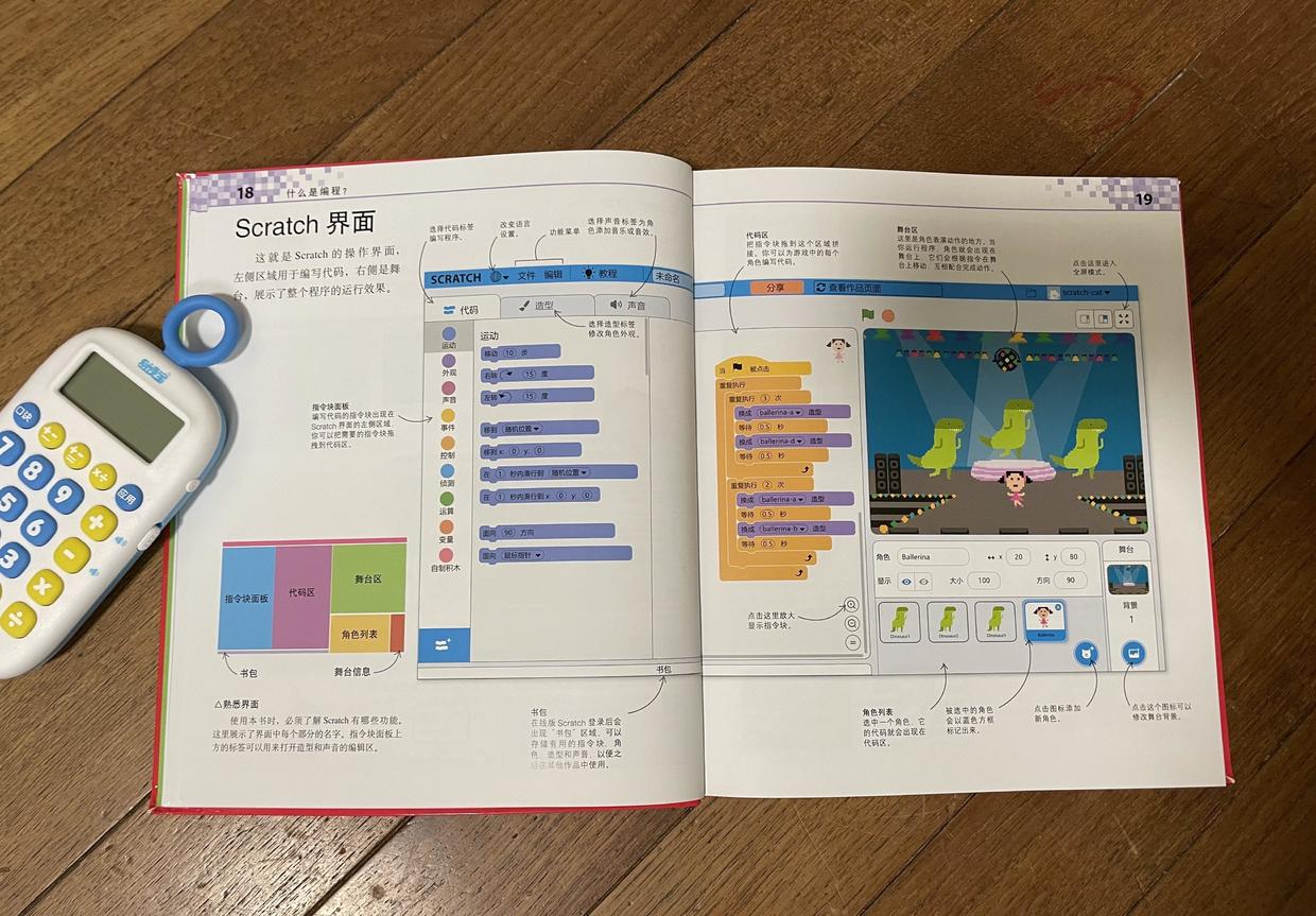 5岁儿童编程入门先学什么 (13岁孩子学习编程从哪里入门)